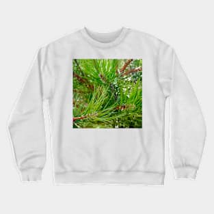 Pinyon Pine Needles Crewneck Sweatshirt